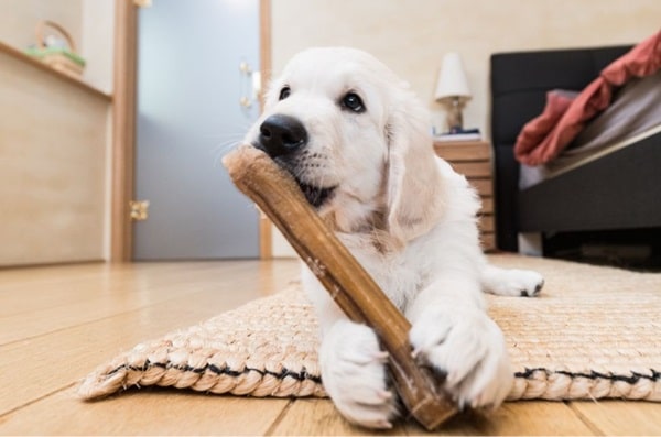 Іграшки для прорізування зубів у цуценят