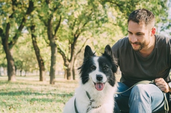 Приклад, як бачить світ людина