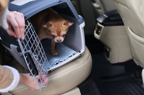 Транспортування переноски