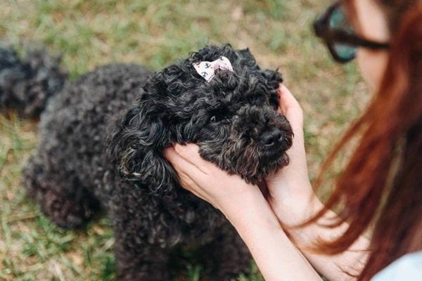 Як поліпшити якість свого життя при алергії?