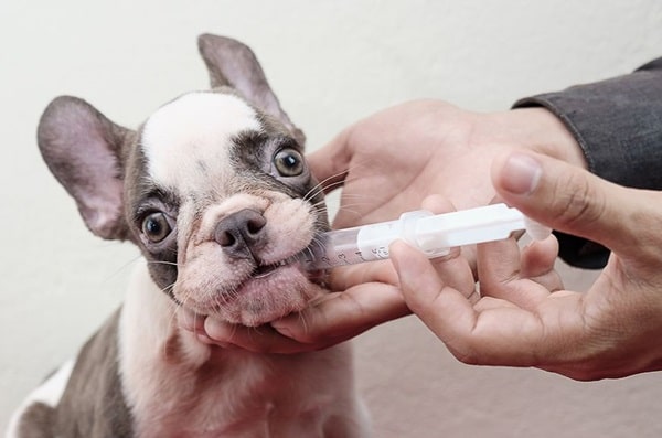 Застосування шприца