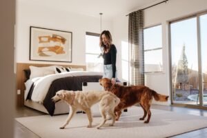 Що робити, якщо собака ревнує?