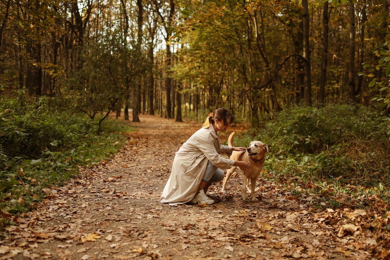 Осінні вороги собак: від кліщів до слимаків та змій.
