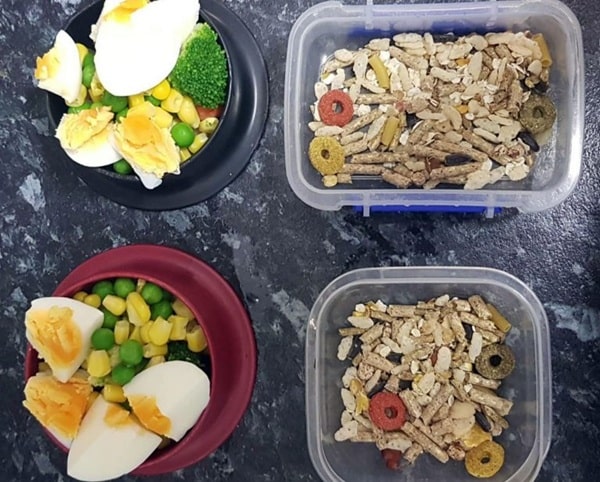 Чим годують домашніх щурів: склад раціону