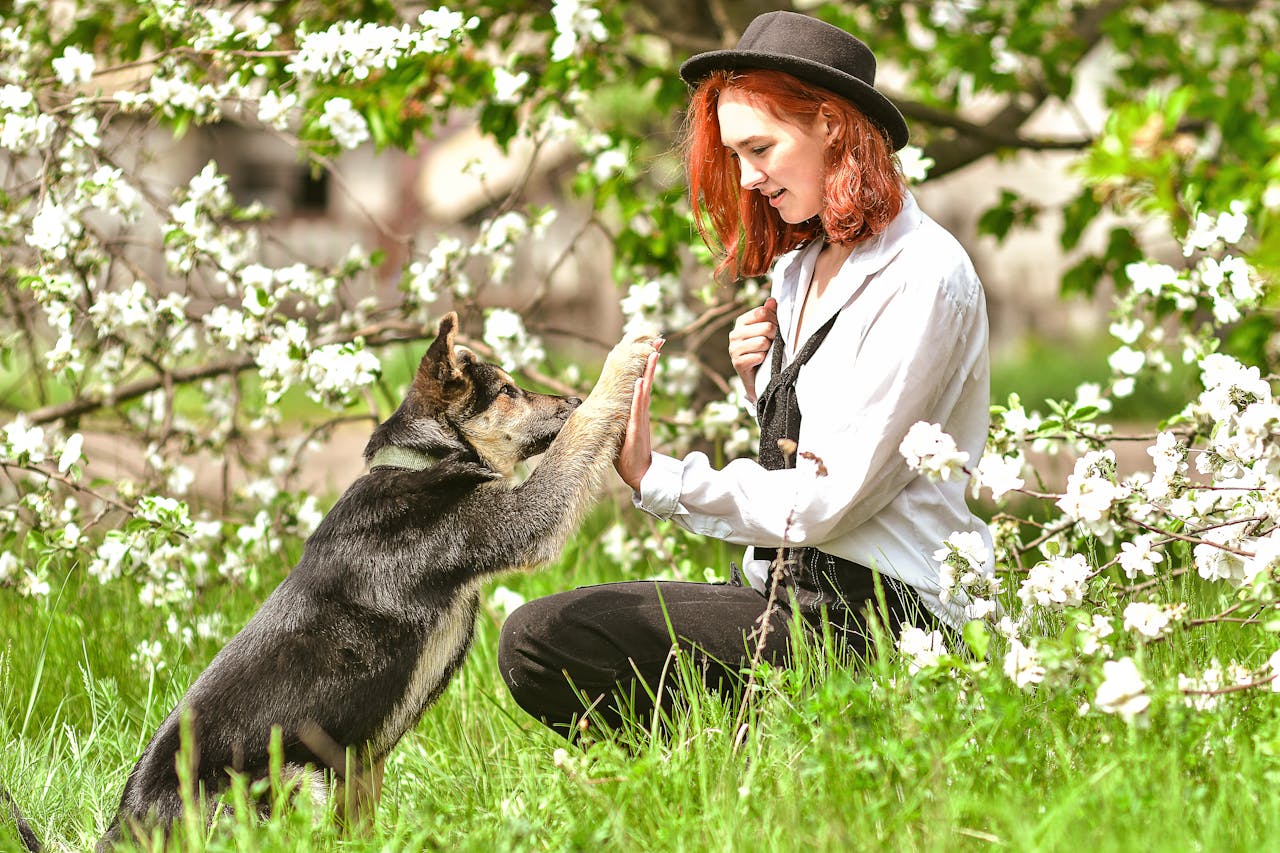 Алергії у собак: симптоми, причини та методи лікування.