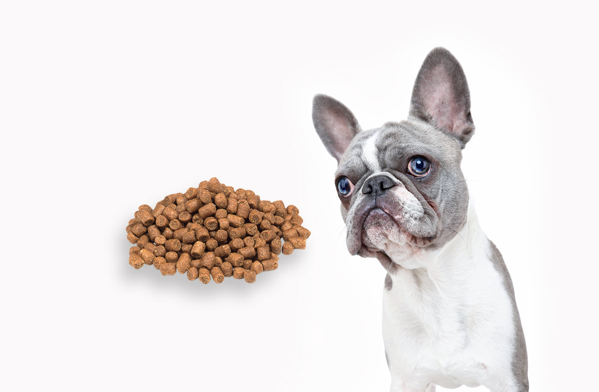 50 грам сухого корму — це скільки