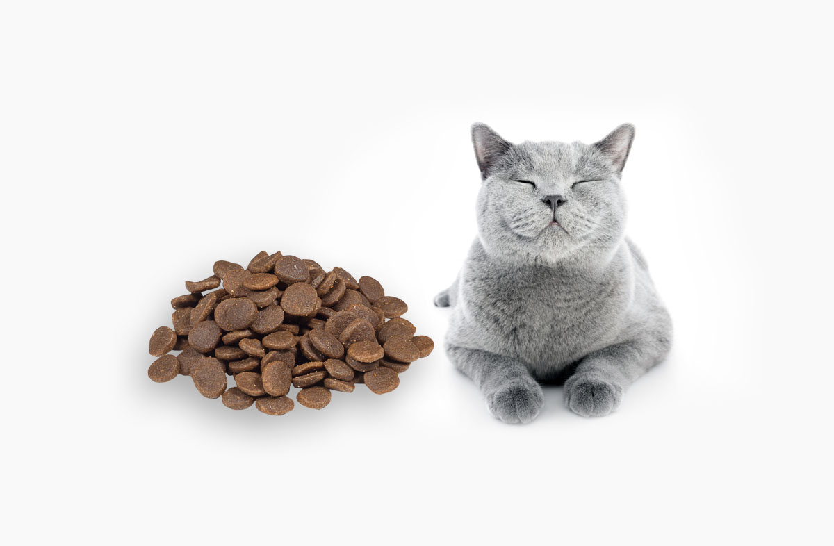 60 грам сухого корму — це скільки