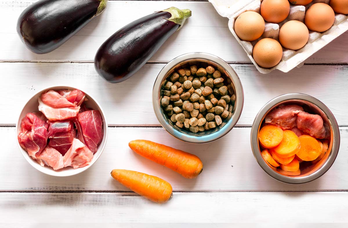 Чи можна чергувати сухий корм і натуральний