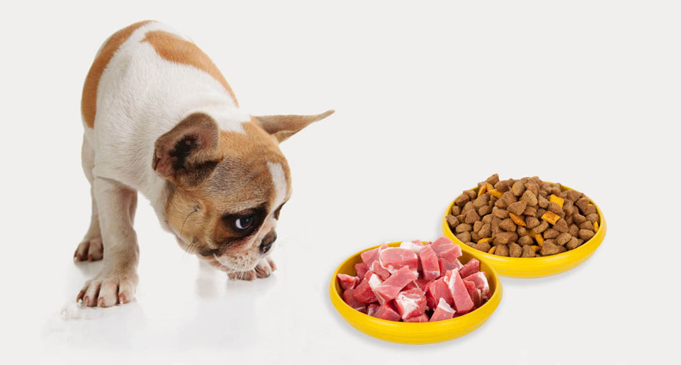 Чи можна годувати натуралкою і сухим кормом