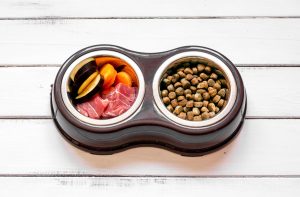 Чи можна поєднувати сухий корм і натуральний?