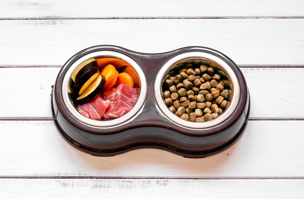 Чи можна поєднувати сухий корм і натуральний