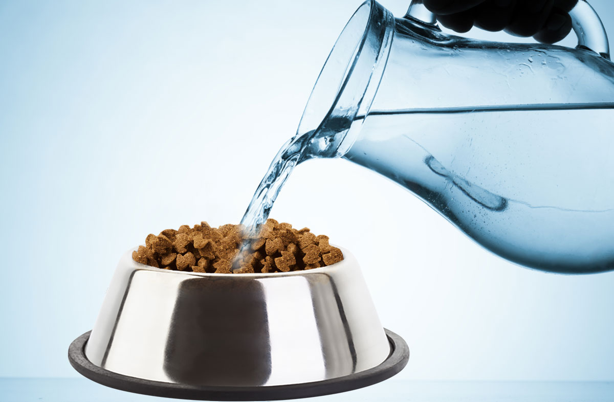 Чи потрібно розмочувати сухий корм