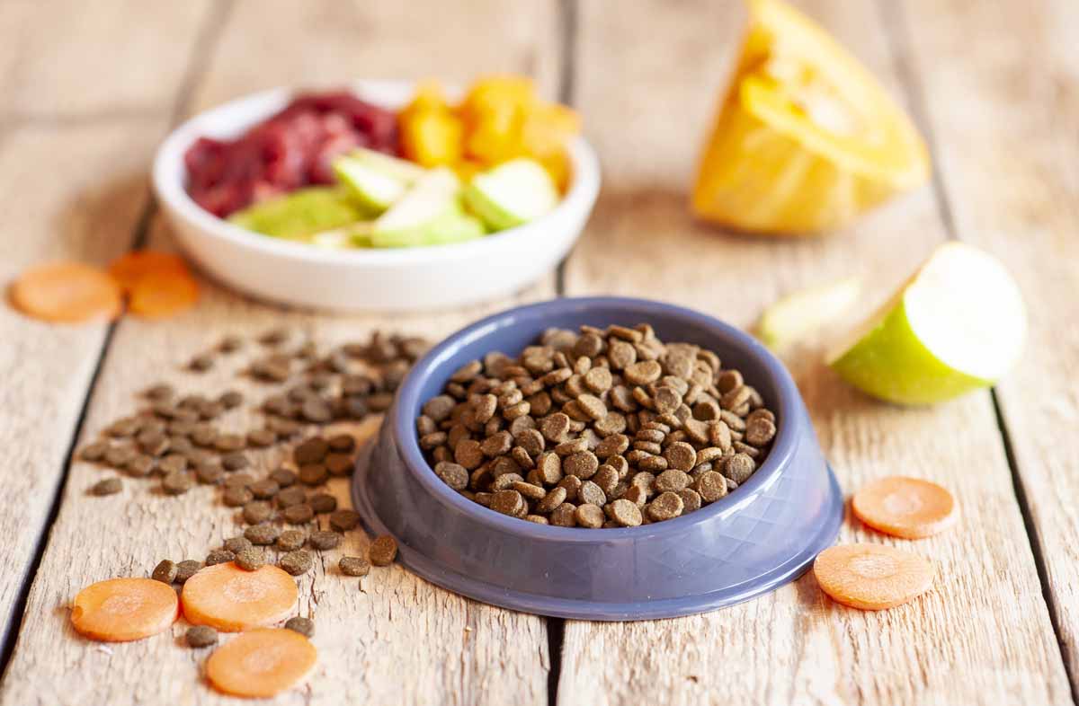 Чи можна давати разом сухий корм і овочі для собак