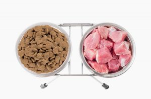 Чи можна давати сухий корм і м’ясо?
