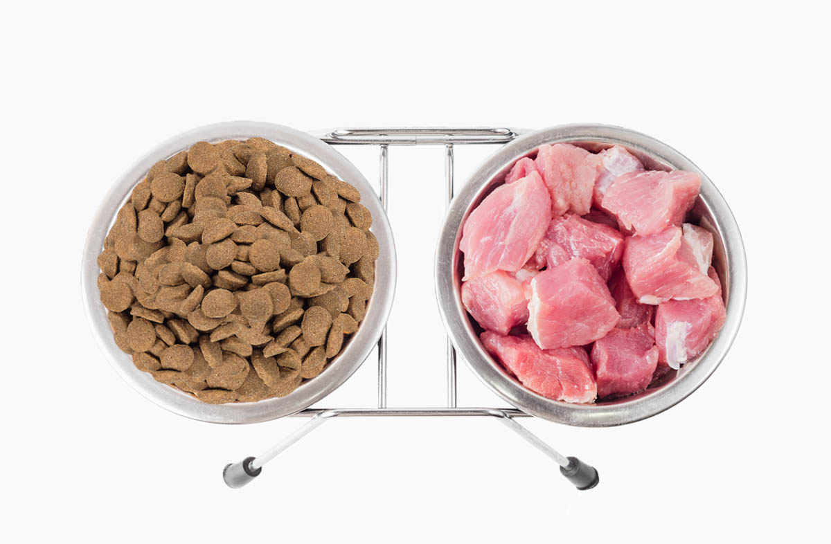 Чи можна давати сухий корм і м'ясо