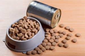 Чи можна поєднувати сухий і вологий корм?