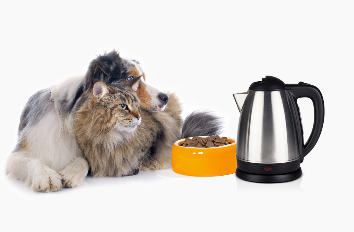 Чи можна сухий корм розмочувати водою