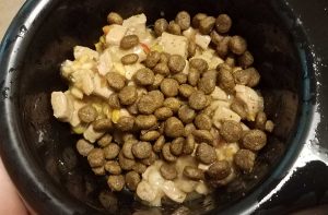 Чи можна змішувати сухий корм і консерви?