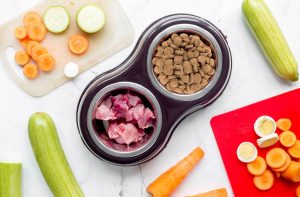 Чи можна змішувати сухий корм і натуральний?