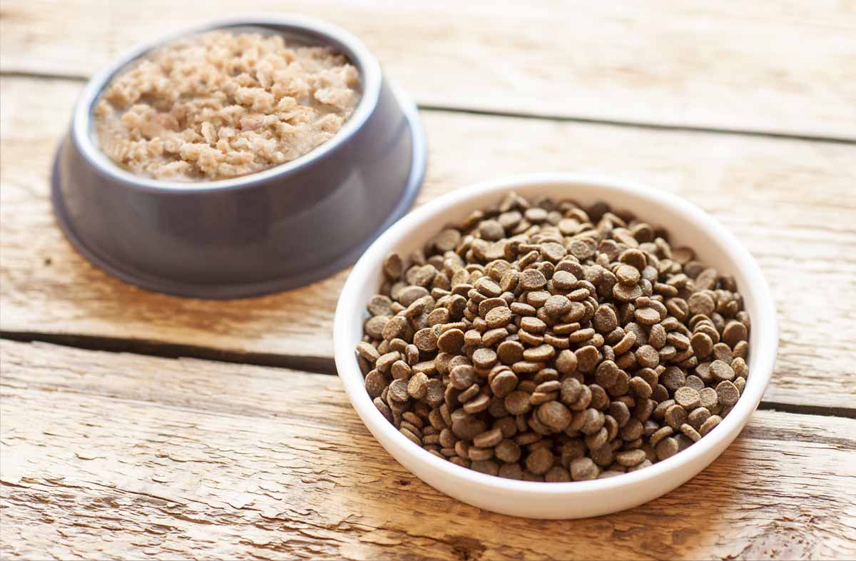 Чи можна змішувати сухий корм з кашею