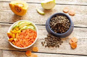Чи сумісні овочі та сухий корм?