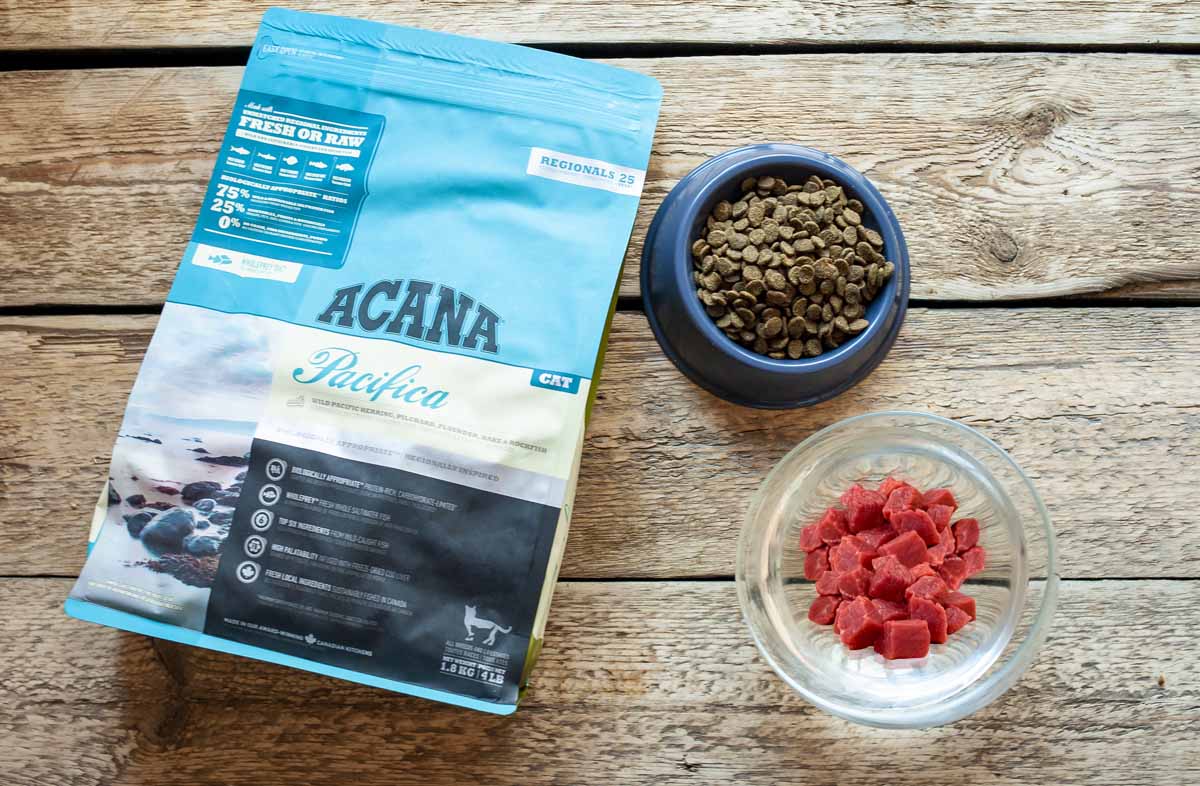 Чи варто змішувати сухий корм і м'ясо для кішок