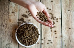 Експертиза сухого корму.