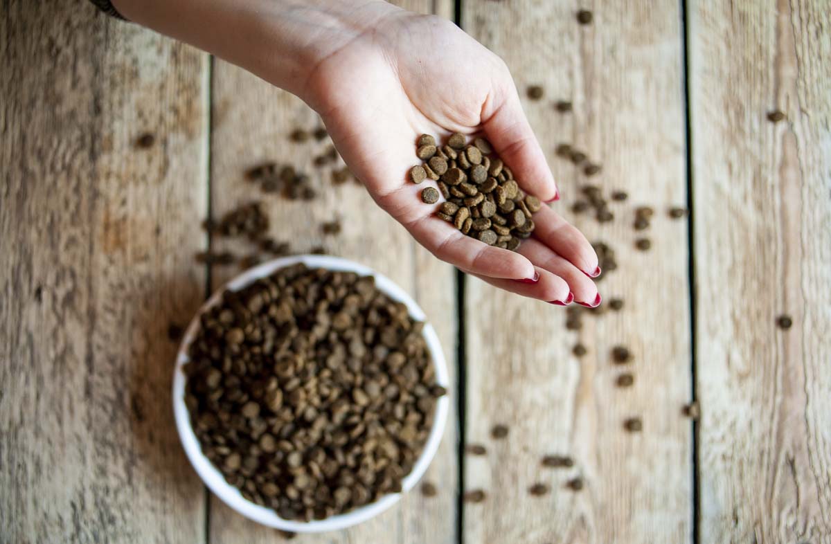 Експертиза сухого корму