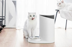 Годівниця для сухого корму.