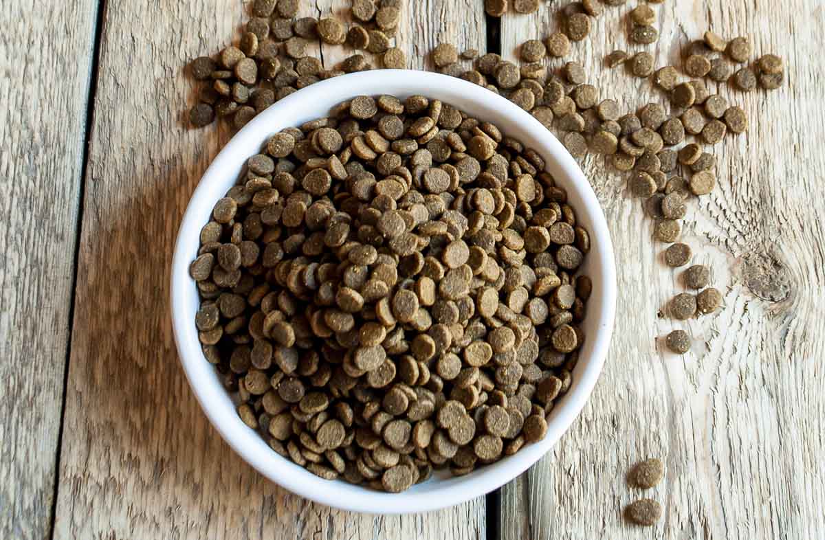 Корисний сухий корм для кішок