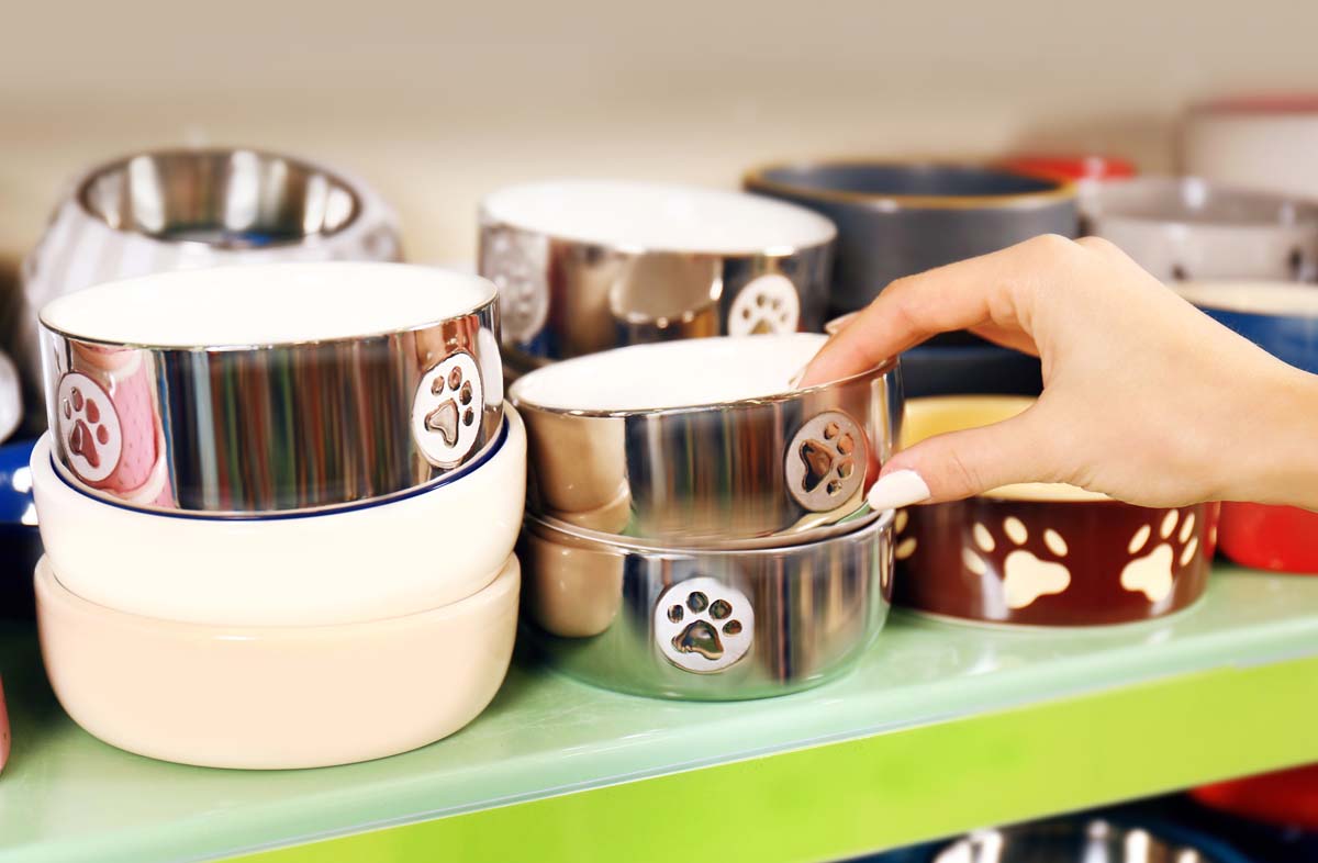 Миска для сухого корму: яка краще