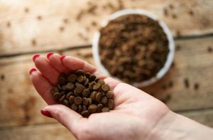 Порівняння кормів для кішок за складом.