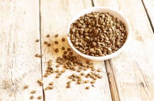 Привчаємо до сухого корму: 4 ради власнику.