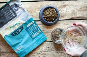 Розмочуємо сухий корм у воді: навіщо і як?