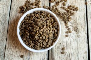 Що собою являють готові сухі корми?