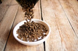 Скільки зберігається відкритий корм для кішок?