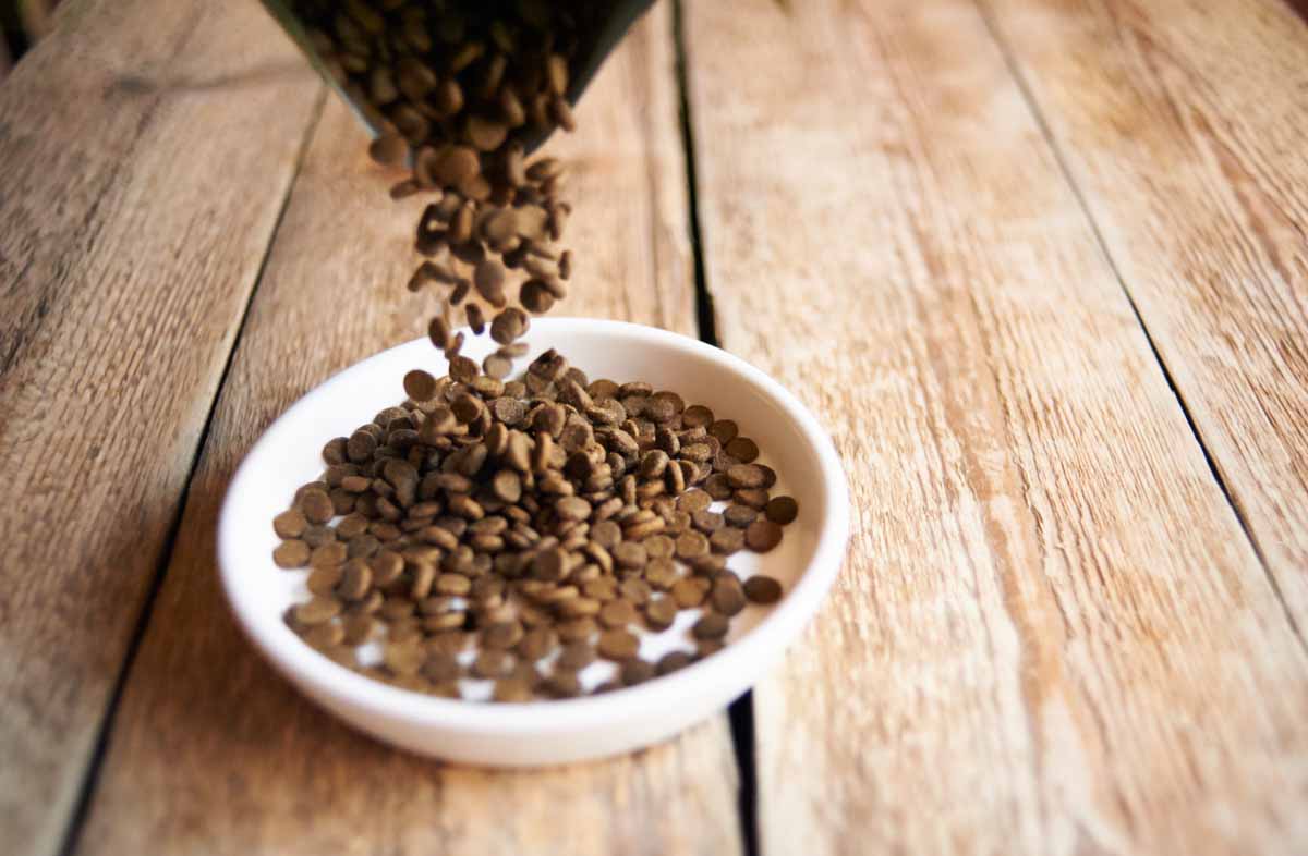 Скільки зберігається відкритий корм для кішок