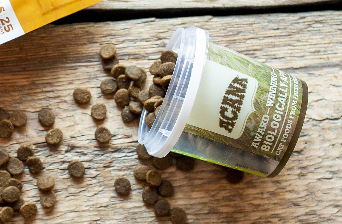 Стакан для сухого корму в допомогу власнику