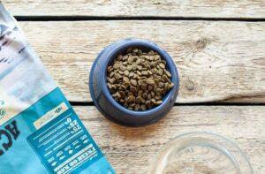 Сухі корми: плюси і мінуси.