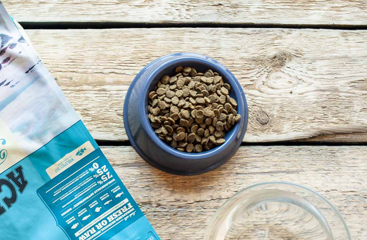 Сухі корми: плюси і мінуси