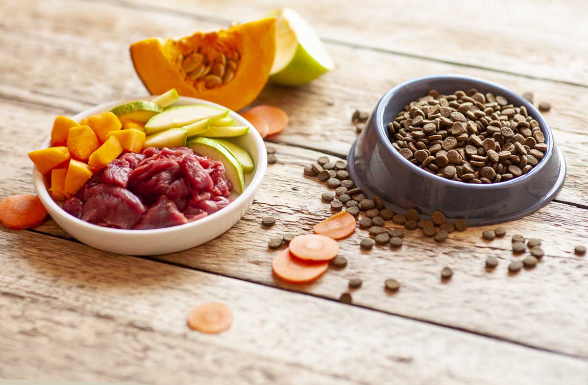 Сухий корм або натуралка: що вибрати для вихованця