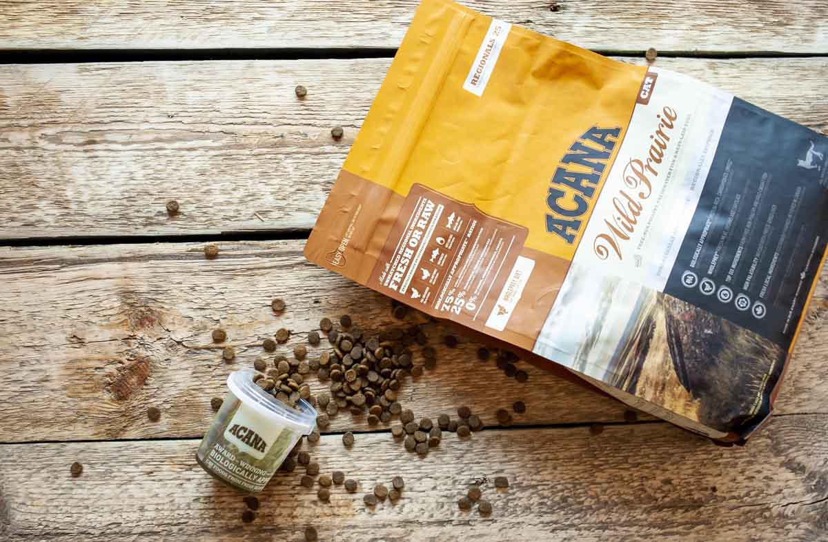 Сухий корм: дозування має значення