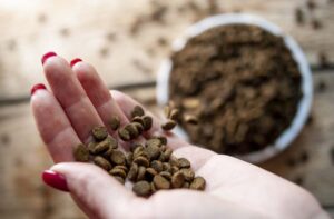 Вибір сухого корму: 5 головних критеріїв.