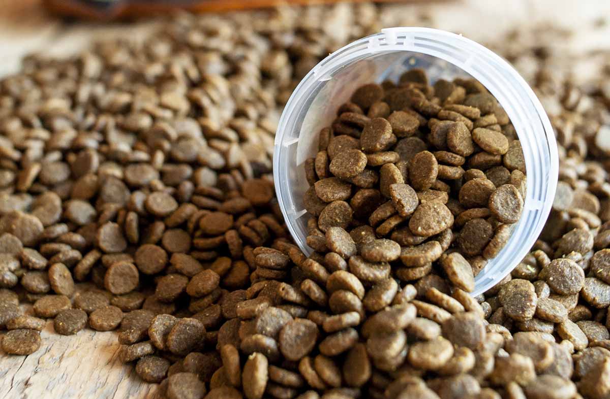 Визначаємо кількість сухого корму для цуценя