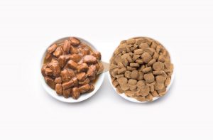 Як перевести вихованця з вологого корму на сухий?