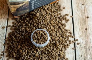 Як самому зробити аналіз сухих кормів для кішок?