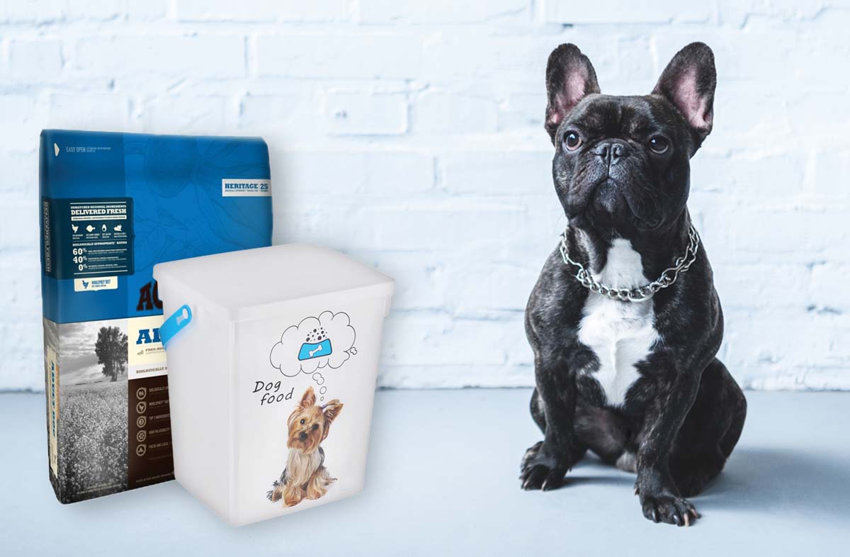 Як вибрати контейнер для сухого корму для собак