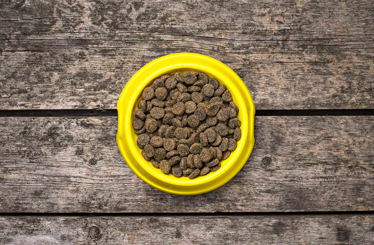 Як вибрати сухий корм для свого вихованця