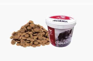 Як зберігати сухий корм для собак?