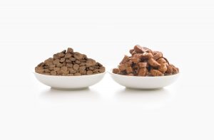 Який корм краще, сухий або вологий?